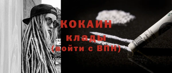 дживик Елабуга