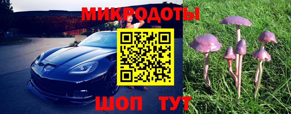 Кирово-Чепецк  Псилоцибиновые грибы прущие грибы  Вход с VPN 