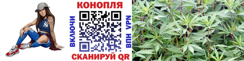 Конопля конопля  где найти наркотики  Кирово-Чепецк 